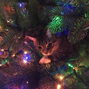 Meet your Posher, Patti